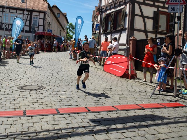 BFL 2017